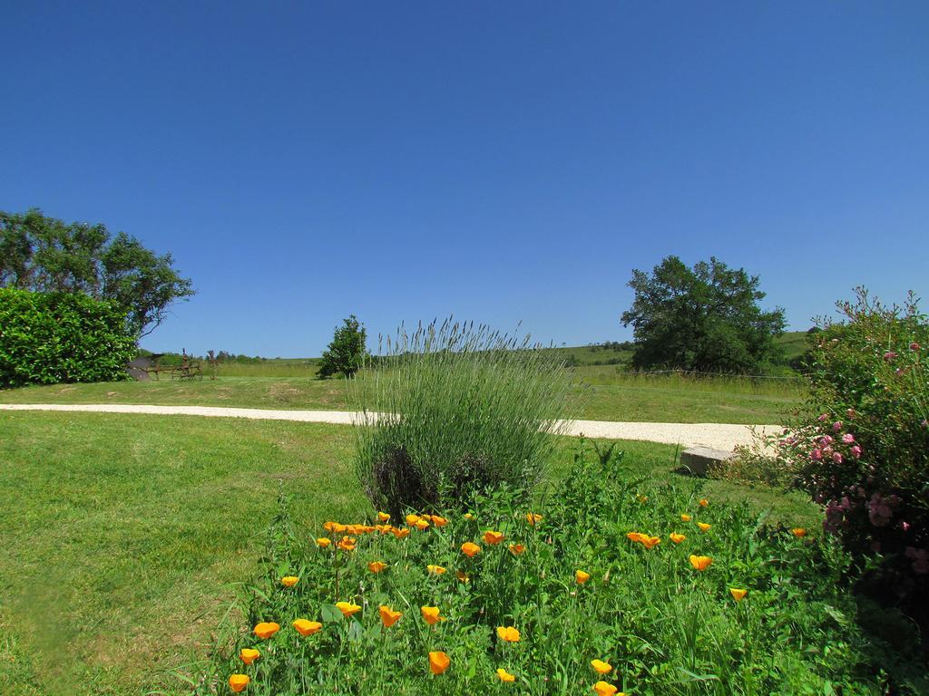 Bed and Breakfast Le Domaine du Cerneau à Nailhac Extérieur photo