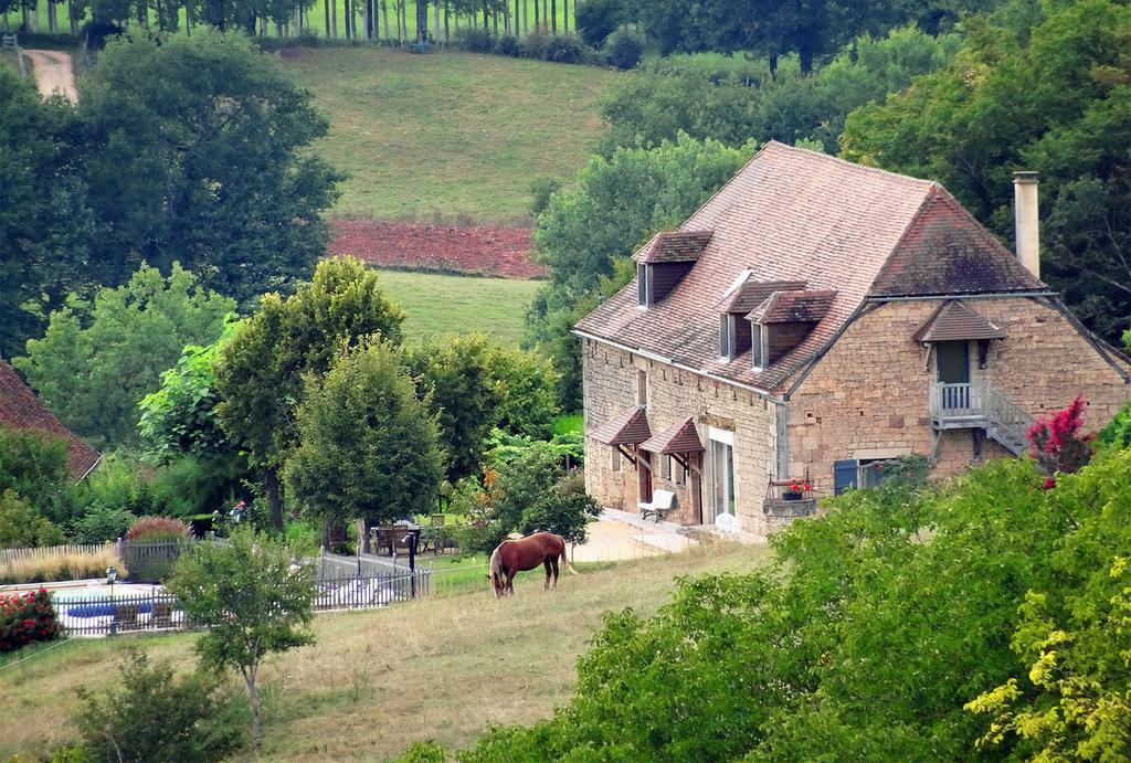 Bed and Breakfast Le Domaine du Cerneau à Nailhac Extérieur photo